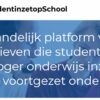 https://studentinzetopschool.nl/